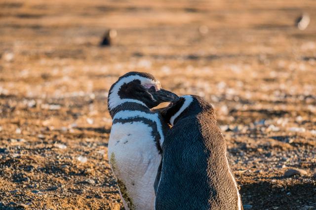 Patagónia je láska.
foto: archív 