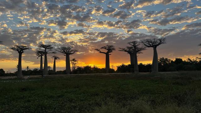 Madagaskar veľký okruh