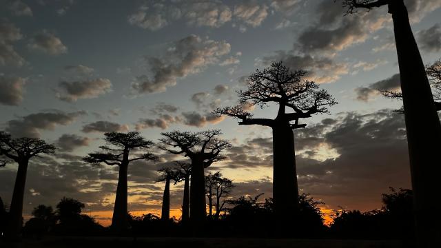 Madagaskar veľký okruh