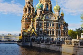 Dva medvede - Moskva a Petrohrad