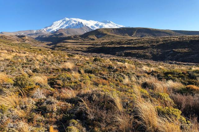 Hlavnými atrakciami v parku Tongariro sú sopky. Ruapehu s výško
