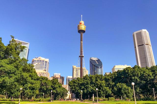 305 metrov vysoká Sydney Tower je výborným miestom na objavenie