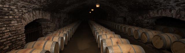 Vo vinárstve Concha y Toro sa zaľúbime do diabolsky dobrého vín