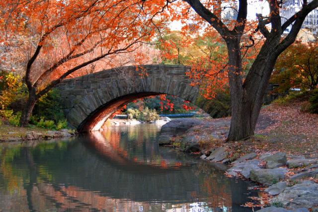 New York - Central park je kus prírody uprostred mega mesta