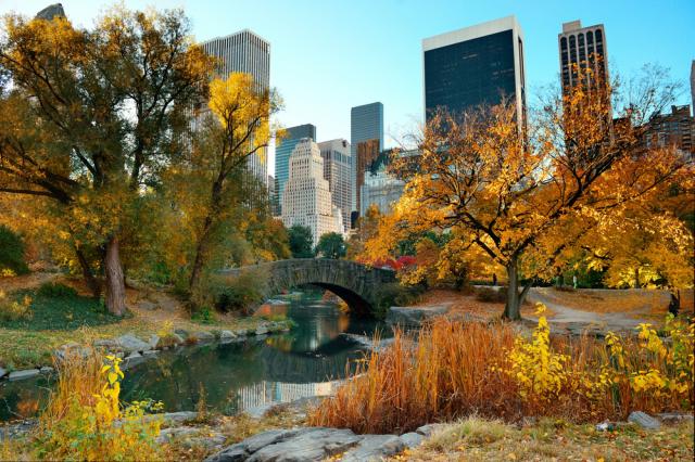 New York - Jesenný Central Park