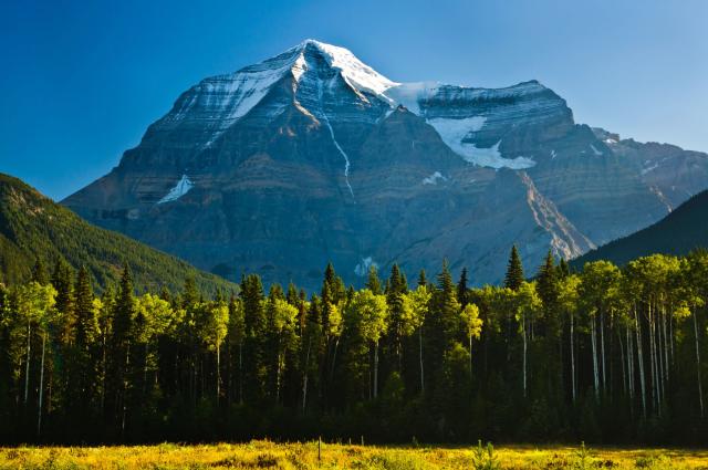 Cesta popod Mt.Robson sa vinie aj popri rieke Fraser, na ktorej