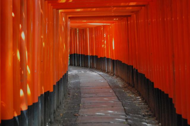 Zlatá cesta Japonskom