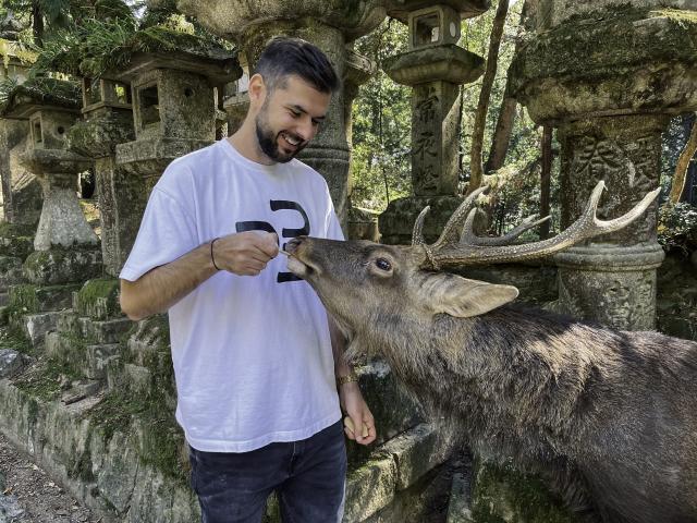 Spoločnosť nám budú robiť krotké kláňajúce srnky. Foto: Martin 