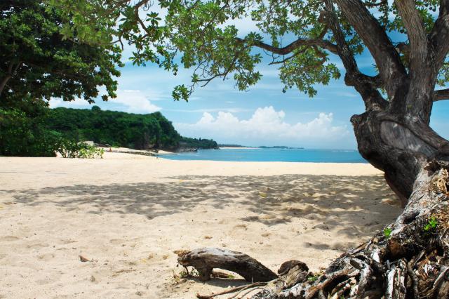 Prileteli sme na Bali.
foto : archív 