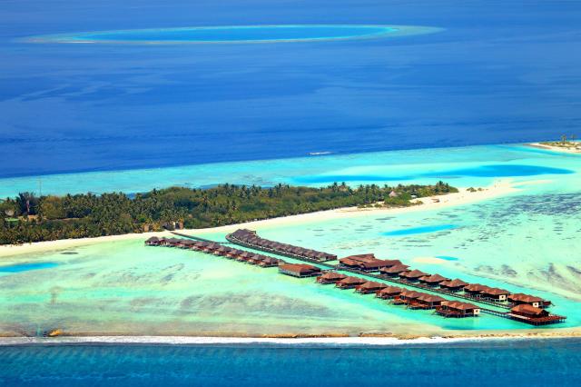Na výber máte na Paradise Island rôzne druhy vodných víl. Necha