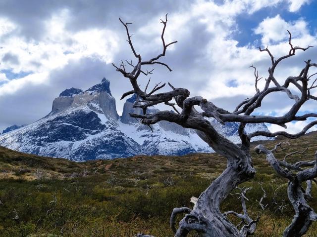 Prechádzka pri Torres del Paine. Foto: Karina Katanová - 