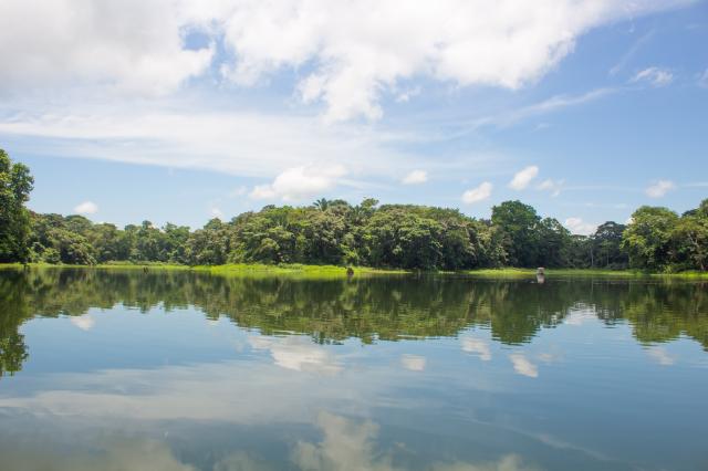Kúsok za mestom sa dostávame do oblastí Panamského prieplavu. f