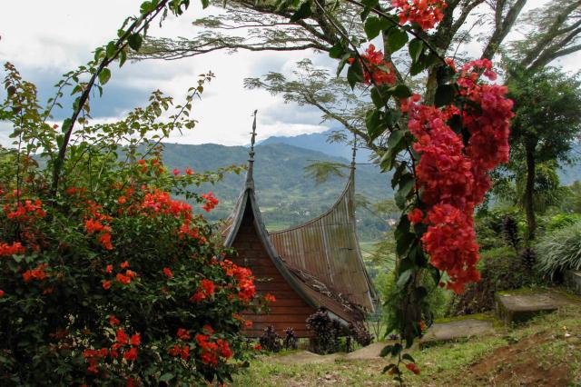 Cestou do Padangu.
foto : Jozef HARVÁNEK — 