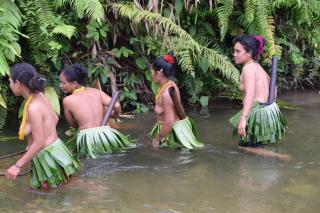 Sumatra - Siberut a Mentavajci