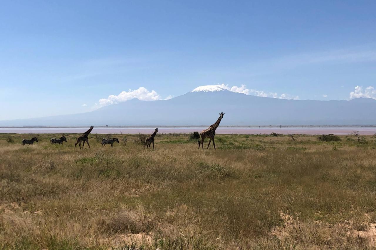 Safari pod Kilimandžárom je pre Amboseli asi najvýstižnejšie me