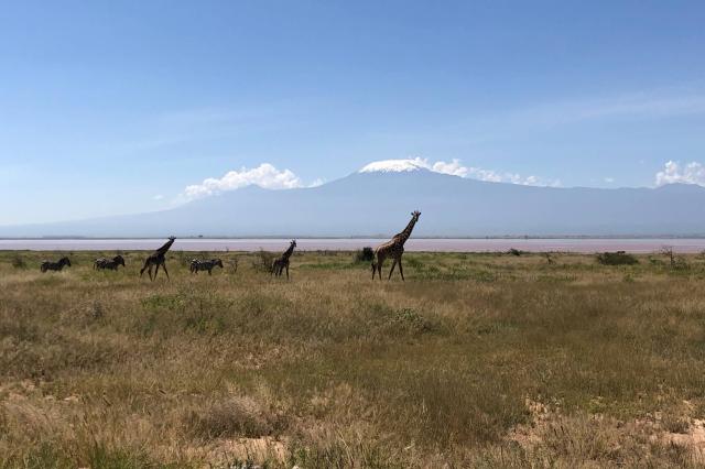 Safari pod Kilimandžárom je pre Amboseli asi najvýstižnejšie me