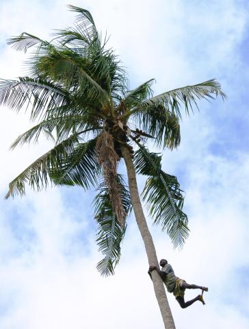 Relax na nádherných plážach Zanzibaru. Ak nechcete iba odpočíva