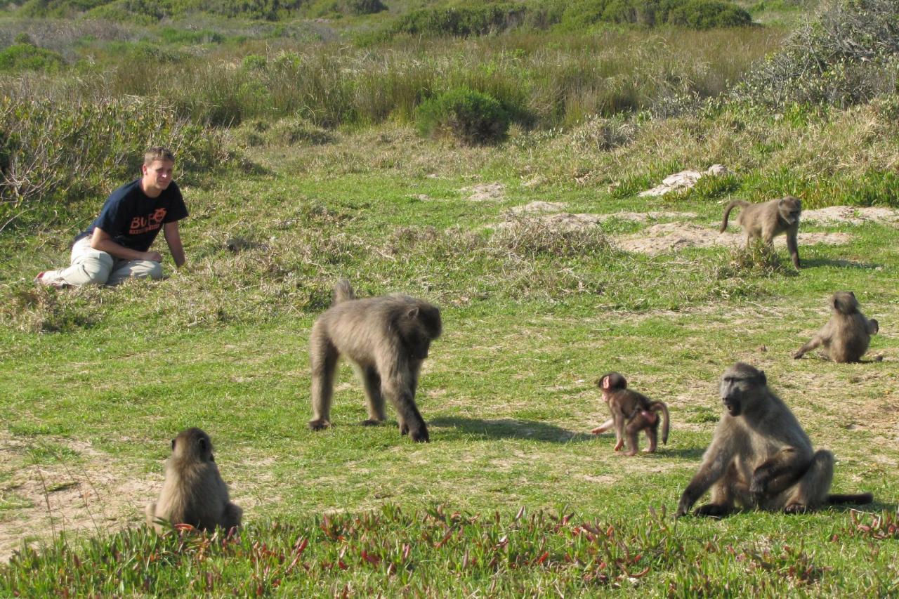 Národný park Mys dobrej nádeje je aj útočiskom divej africkej f
