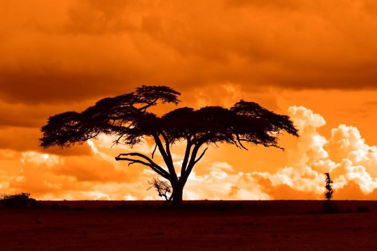 Najkrajšie západy slnka sú nad africkou savanou