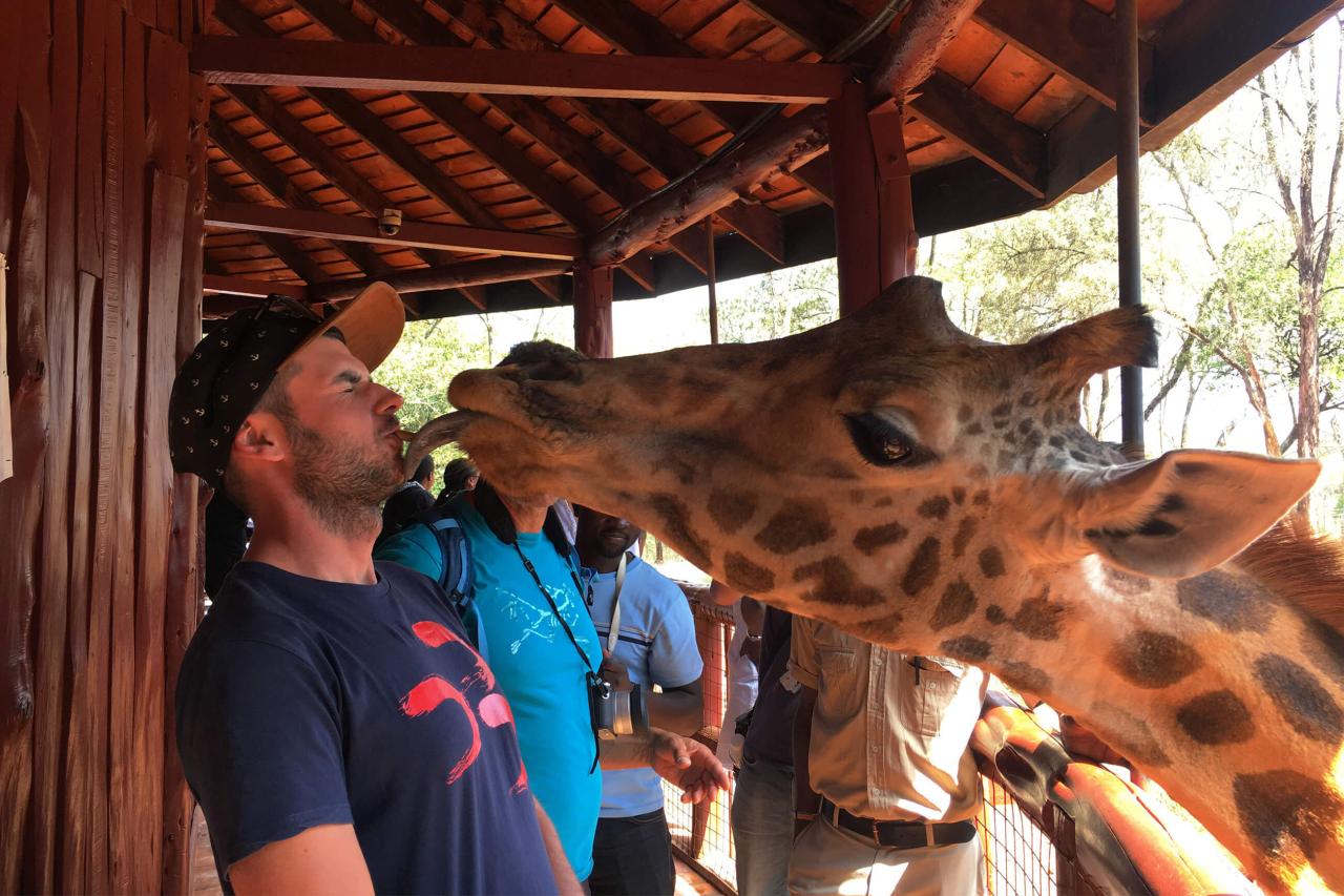 Nairobi - Žirafie centrum, kde sa môžete nechať "oslintať" tými