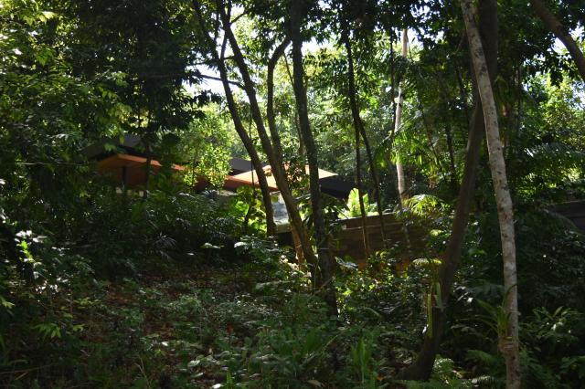 Privátna vila s bazénom utopená v džungli. Six Senses Krabey is