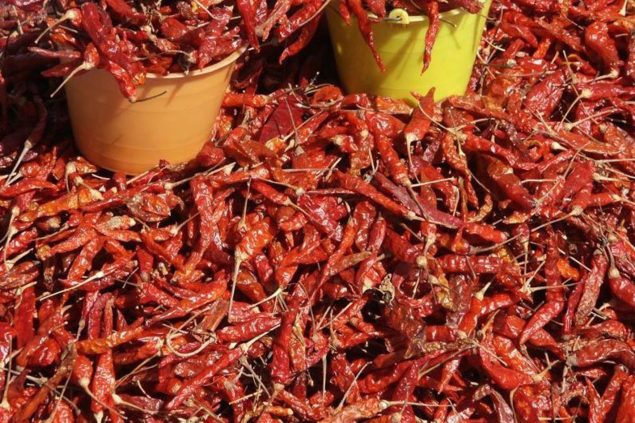 Mexiko = Chilli, Chilli = Mexiko.
foto: archív