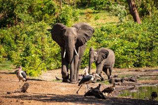 Namíbia, Botswana, Zimbabwe, Zambia