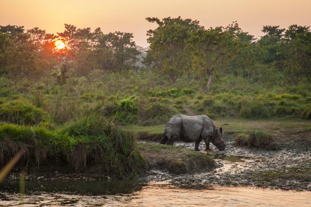 Tibet, Nepál, Chitwan
