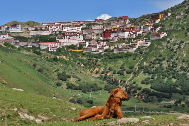 Do tibetských kláštorov