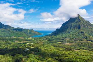 Nový Zéland a Tahiti (Moorea)