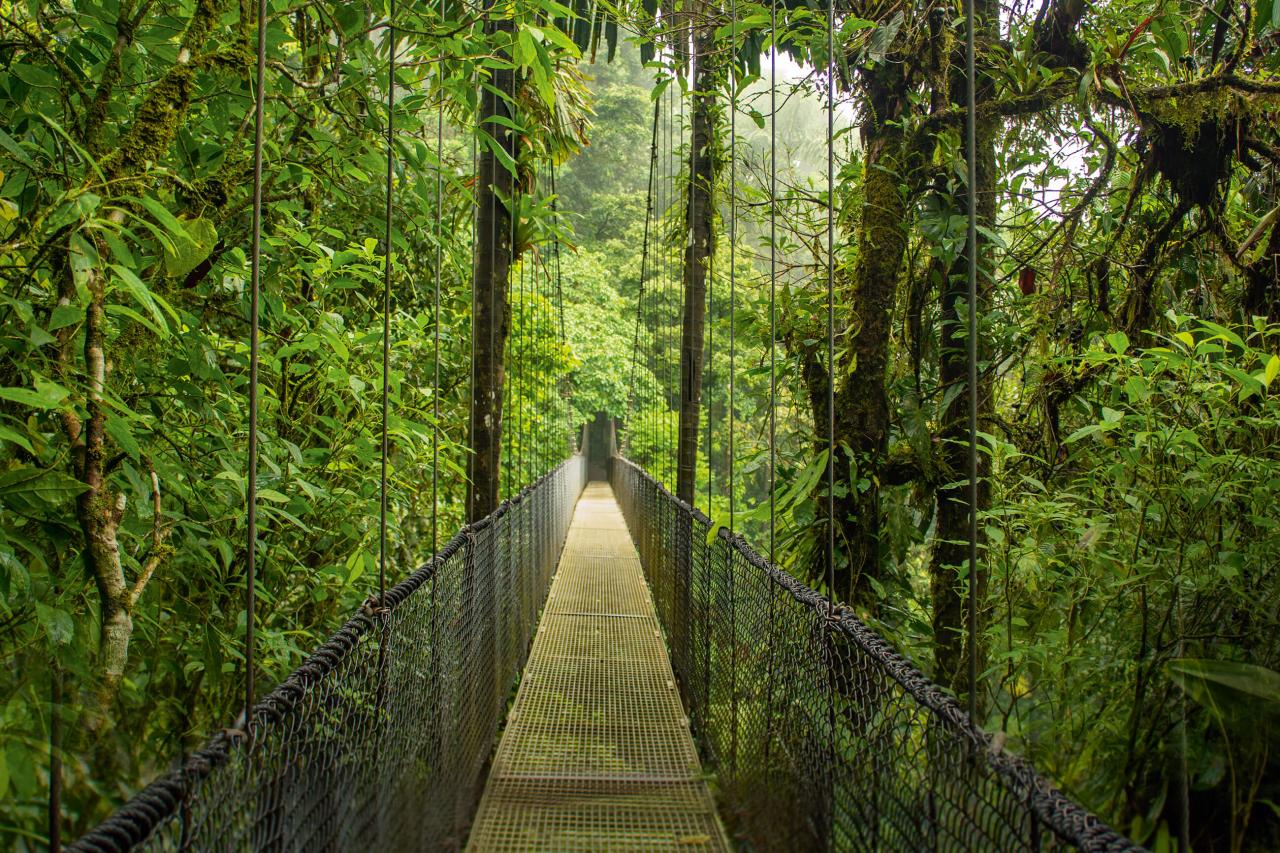 Banánové republiky