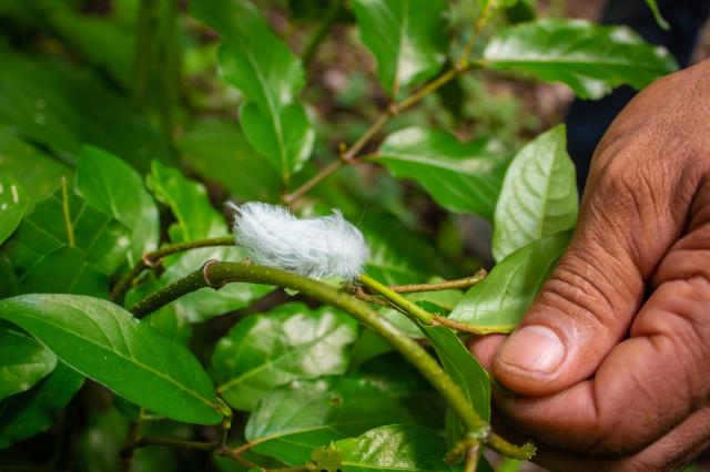 Povieme si všetko o miestnej flóre, faune, endemitoch. Uvidíme