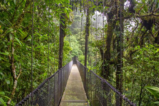 Závesné mosty pre adrenalínových nadšencov. foto: Alena Spišáko