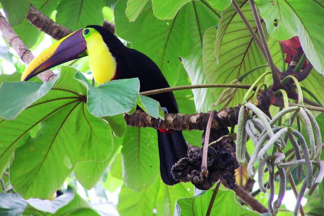 Koľko ich na našej ceste stretneme?