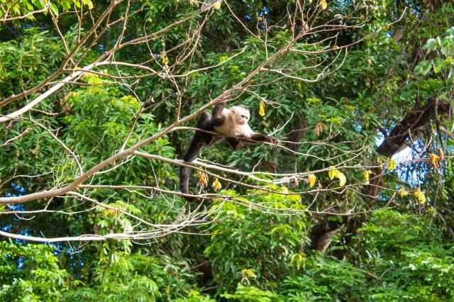 Tu sa uvidí aký šikovný fotograf ste! foto: Alena Spišáková –