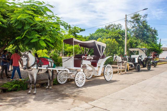 Ráno na konskom povoze, lokálny trh a nádherný deň v Granade, a