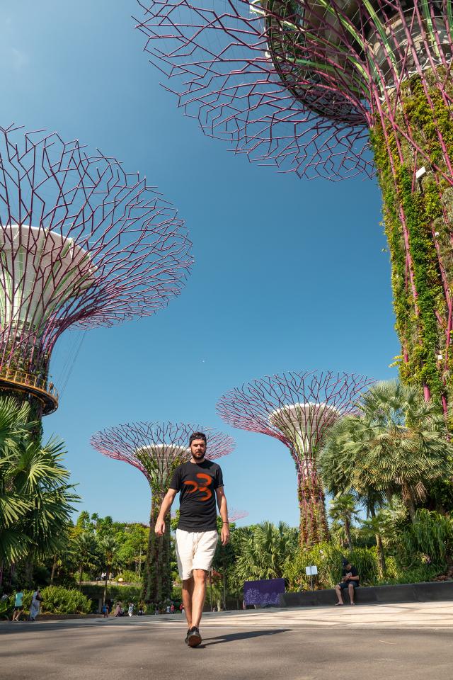 Superstromy ako symbol futuristického Singapuru. foto: Martin Š