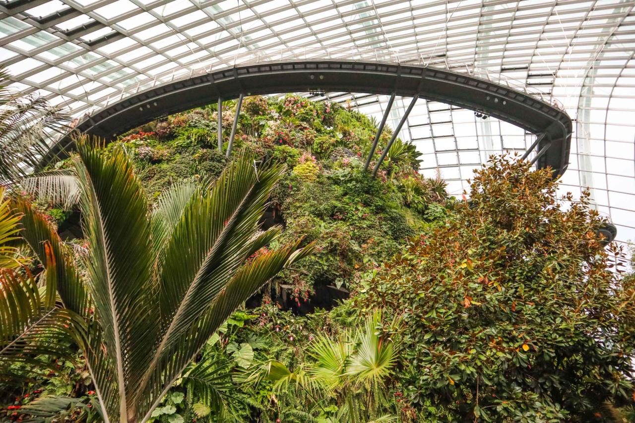 Nahliadnete aj do botanických záhrad v skleníkoch? foto: Martin
