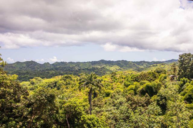 Krásna zvlnená zelená krajina ostrova Tobago. Pozbierali sme ti