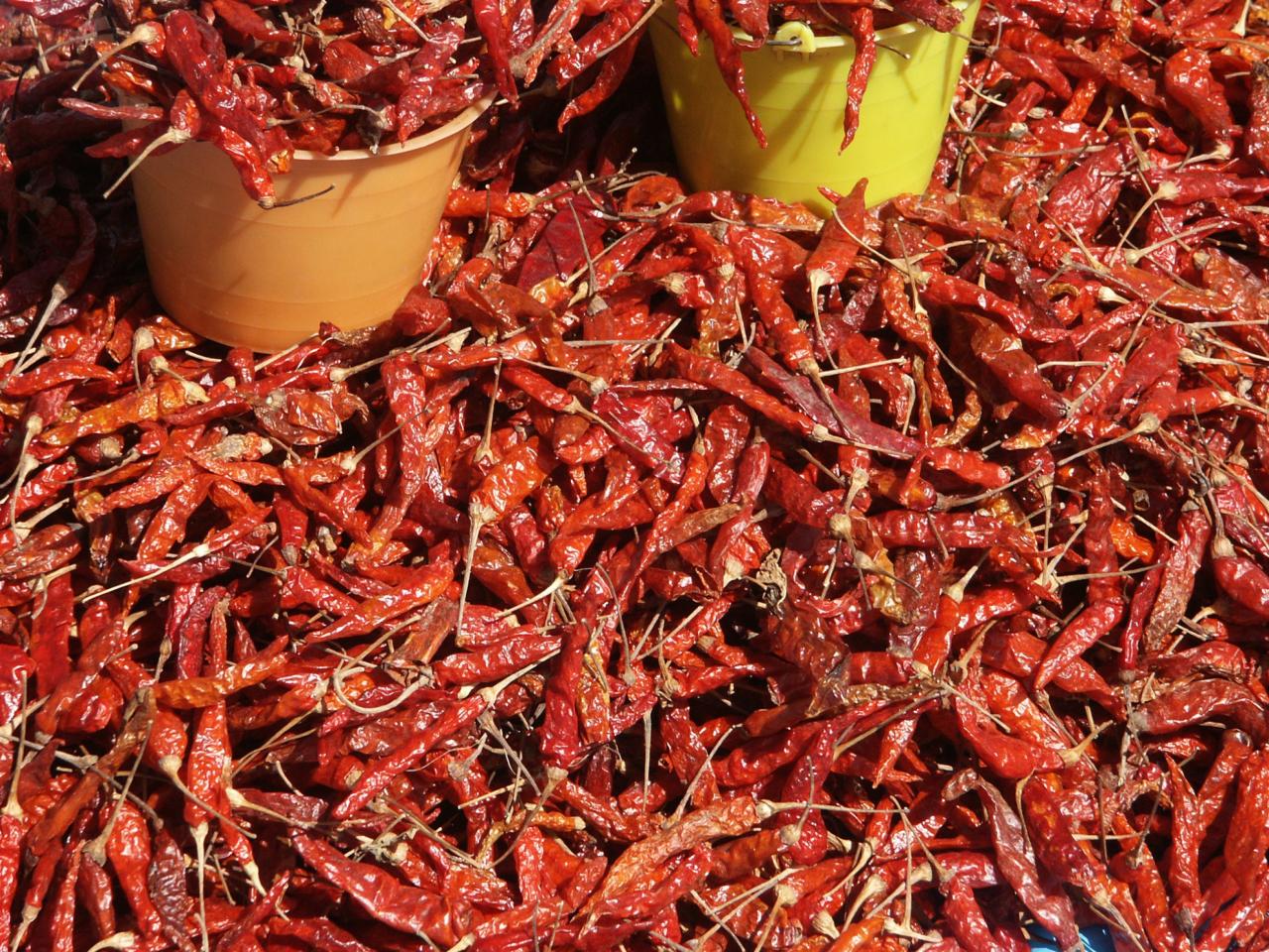 Mexiko = Chilli, Chilli = Mexiko.
foto: archív