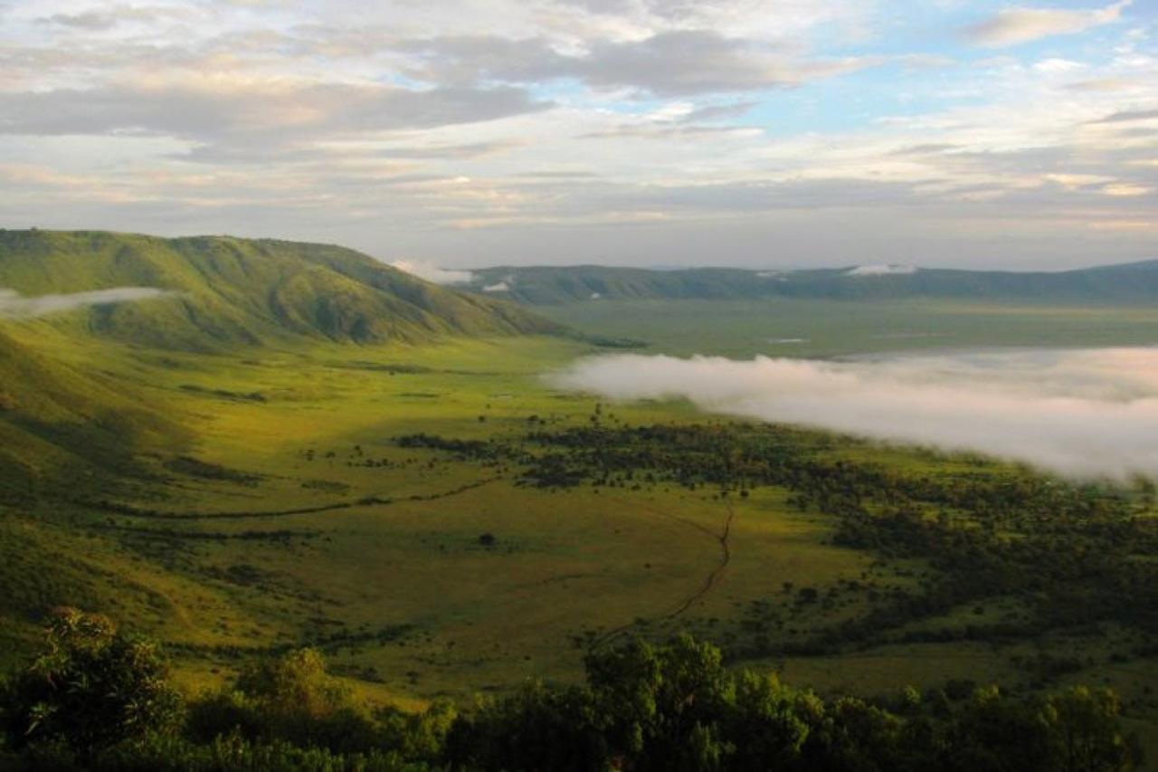Kráter Ngorongoro - pohľad na dno z okraja vo výške 2.200 m.n.m
