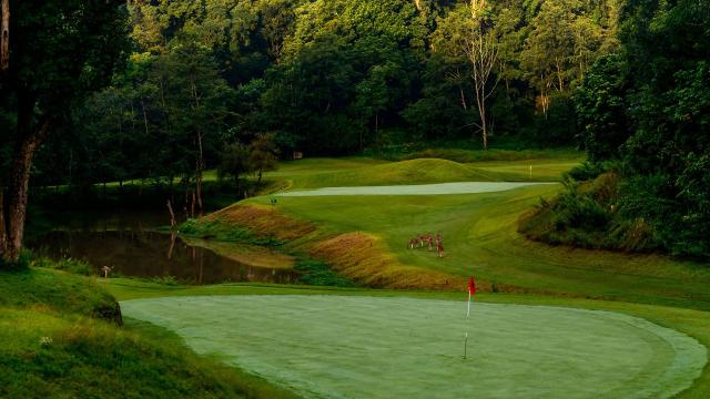 Radi hráte golf na exotických miestach? Gokarna forest golf res