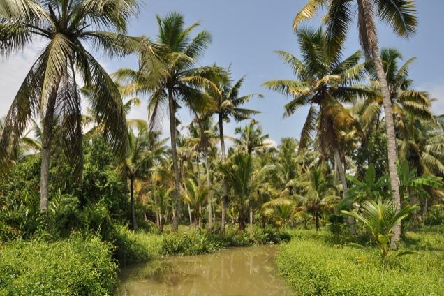 Potulky keralskými kanálmi tropickou prírodou. Foto: Tomáš Kubu