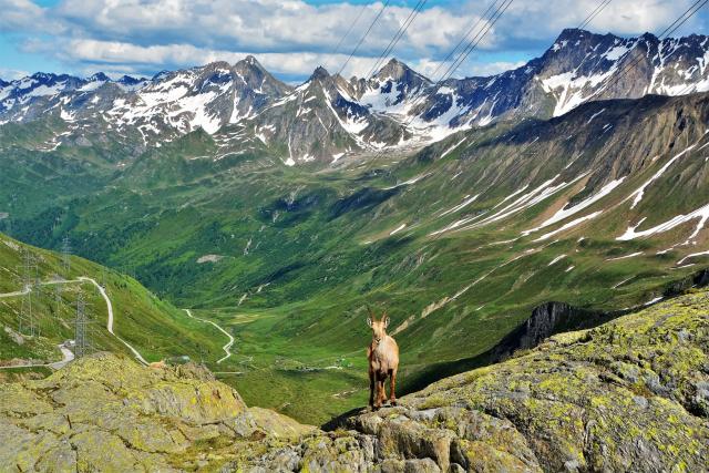 Alpský gýč sa nekončí. foto: Jozef Zelizňák - 
