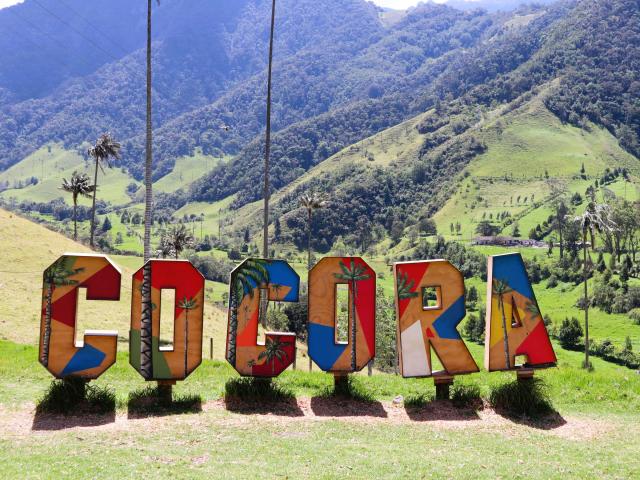 Nádherná cocora. Foto: Nikola Deckous - 