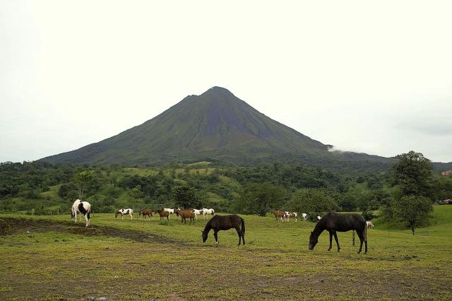 V okolí Arenal je mnoho zaujímavosti. Visuté mosty, zipline či 