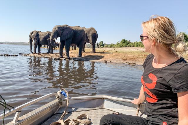 Chobe national park je jedným z najlepších národných parkov na 