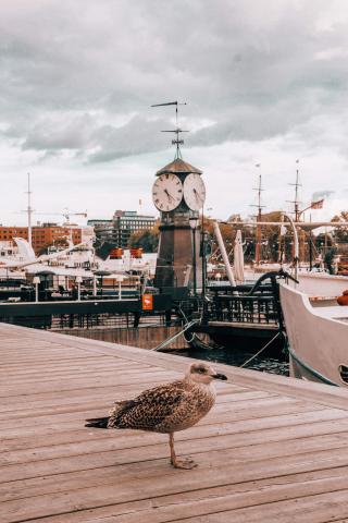 Prístav v časti Aker Brygge.
foto: Zuzana HÁBEKOVÁ – 