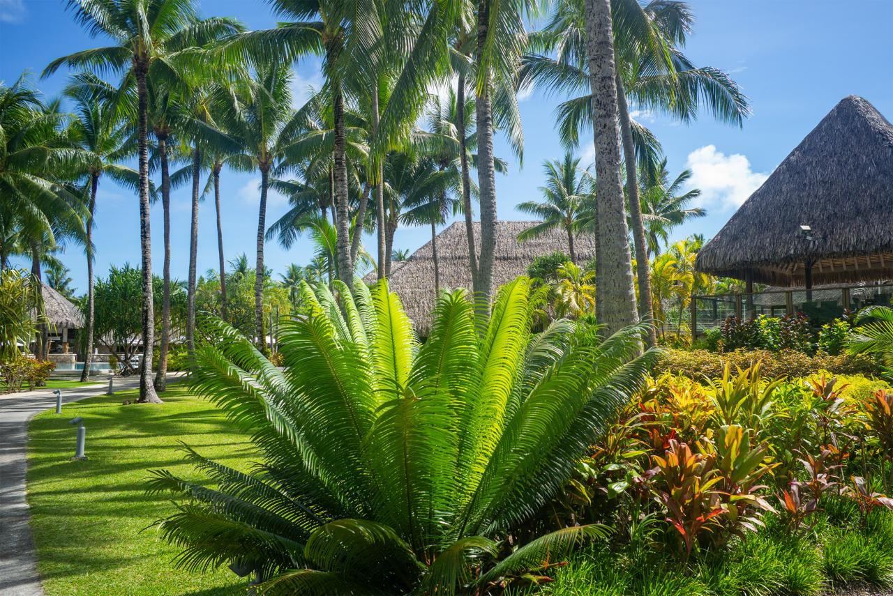 Záhrada nášho hotela na Bora Bora. Foto: Ľuboš Fellner