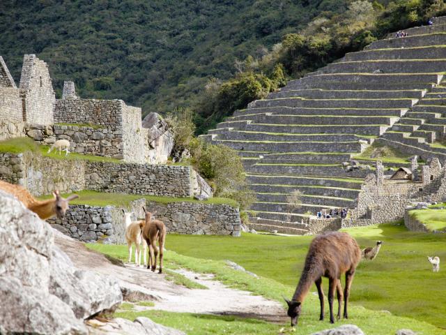 Machu Picchu. Foto: Samuel Kĺč - 
